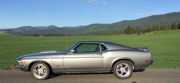 1970 Mustang Fastback For Sale In Alabama